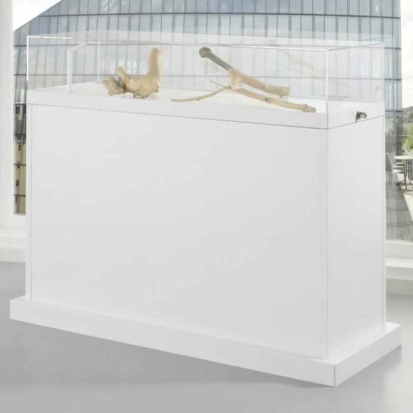 Thekenvitrine mit Glashaube BXTXH 120x50x100cm
