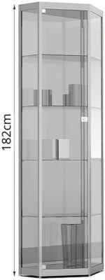 Standvitrine in Spitz-Eck-Form mit Flügeltür BXTXH 62x41x182cm