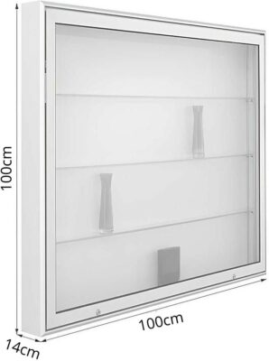 Wandvitrine mit Horizontaler Flügeltür BXTXH 100x14x100cm