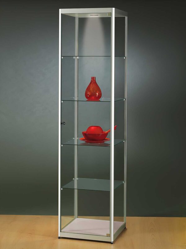 Vitrine 500 silber BxTxH 50x50x200cm